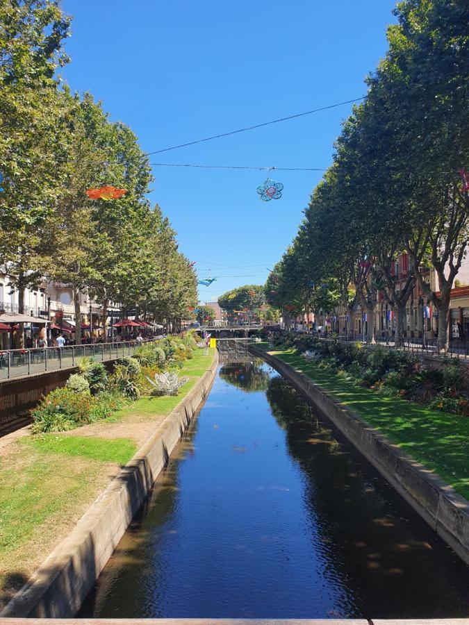 Superbe Batisse De Caractere, Coeur De Ville 페르피냥 외부 사진