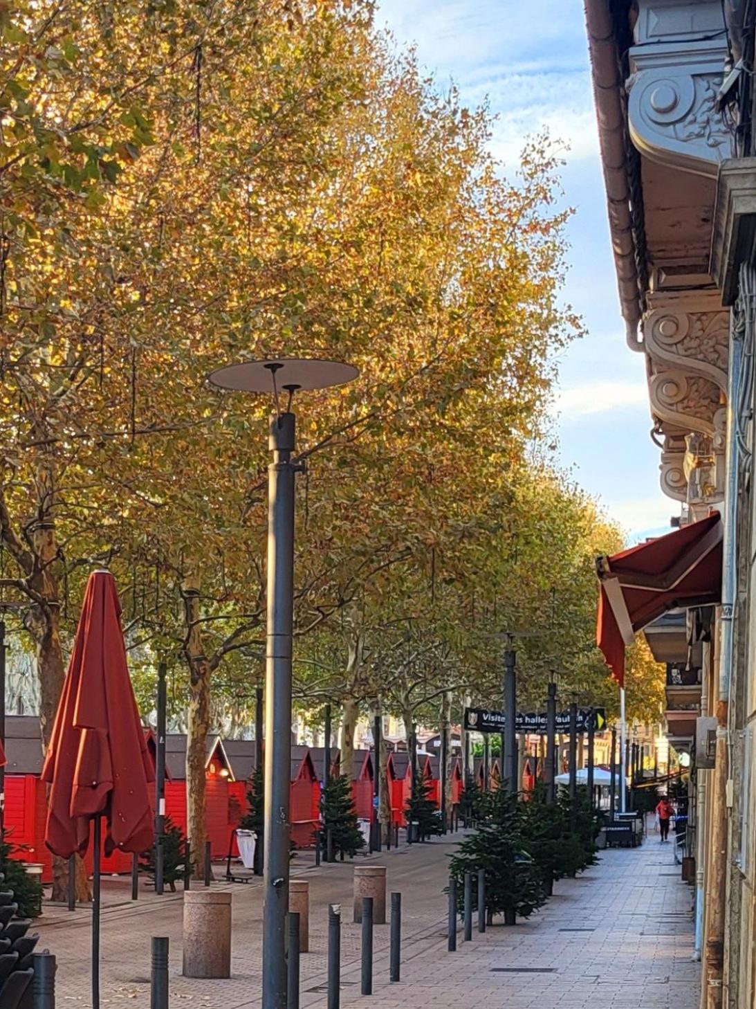 Superbe Batisse De Caractere, Coeur De Ville 페르피냥 외부 사진